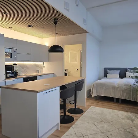 Upea Asunto Salon Sydämessä, Ilmainen Pysäköinti, Lähellä Kaikkea